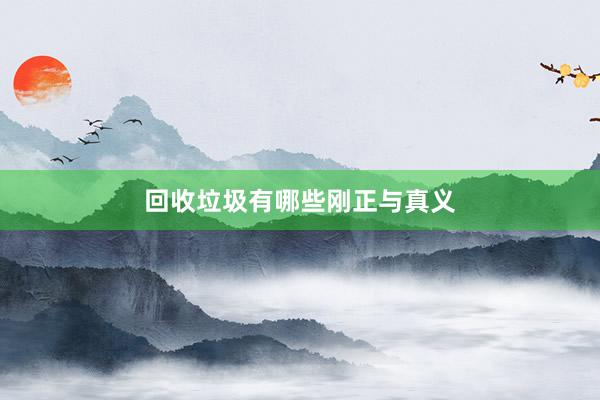 回收垃圾有哪些刚正与真义