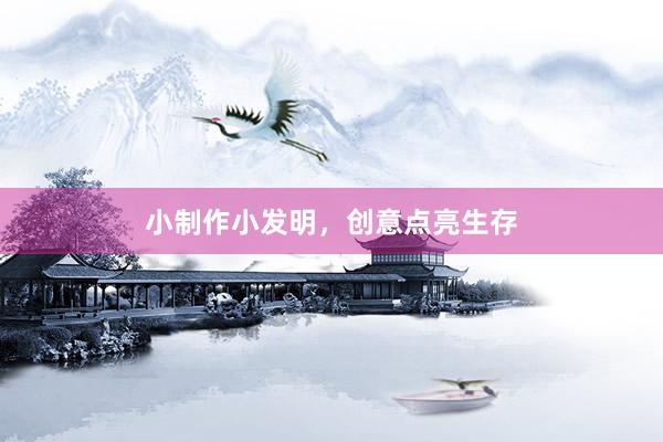 小制作小发明，创意点亮生存